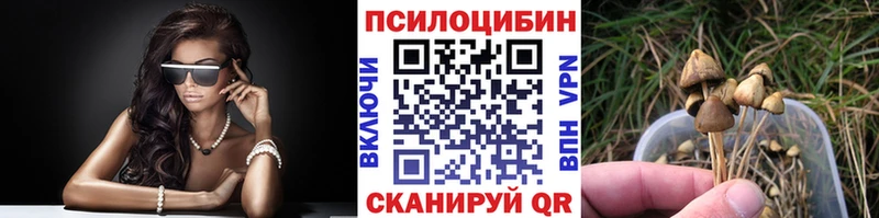 даркнет сайт  Серов  Псилоцибиновые грибы мицелий 